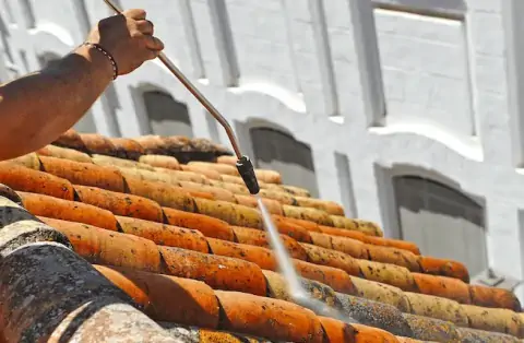 Nettoyage de toitures - Boischampré